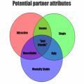 Potential Partner Attributes